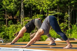 cat pose or downward dog in 1-across