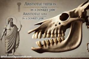 aristotle teeth in a donkey jaw